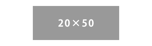 20ｘ50mm
