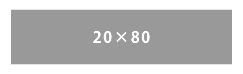 20ｘ80mm